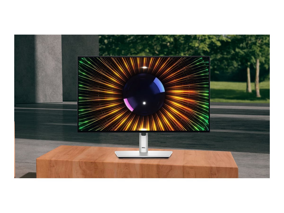 Dell UltraSharp 24 Monitor - U2424H 60.47cm (23.8)
