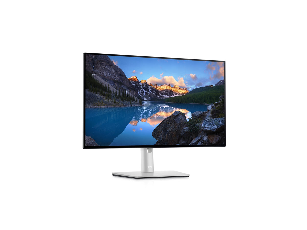 Dell UltraSharp 24 Monitor - U2424H 60.47cm (23.8)