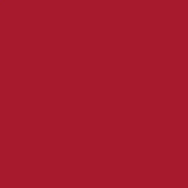 2008646 - Cricut Smart Vinyl Removable 33x91Cm 1 Sheet (Red)