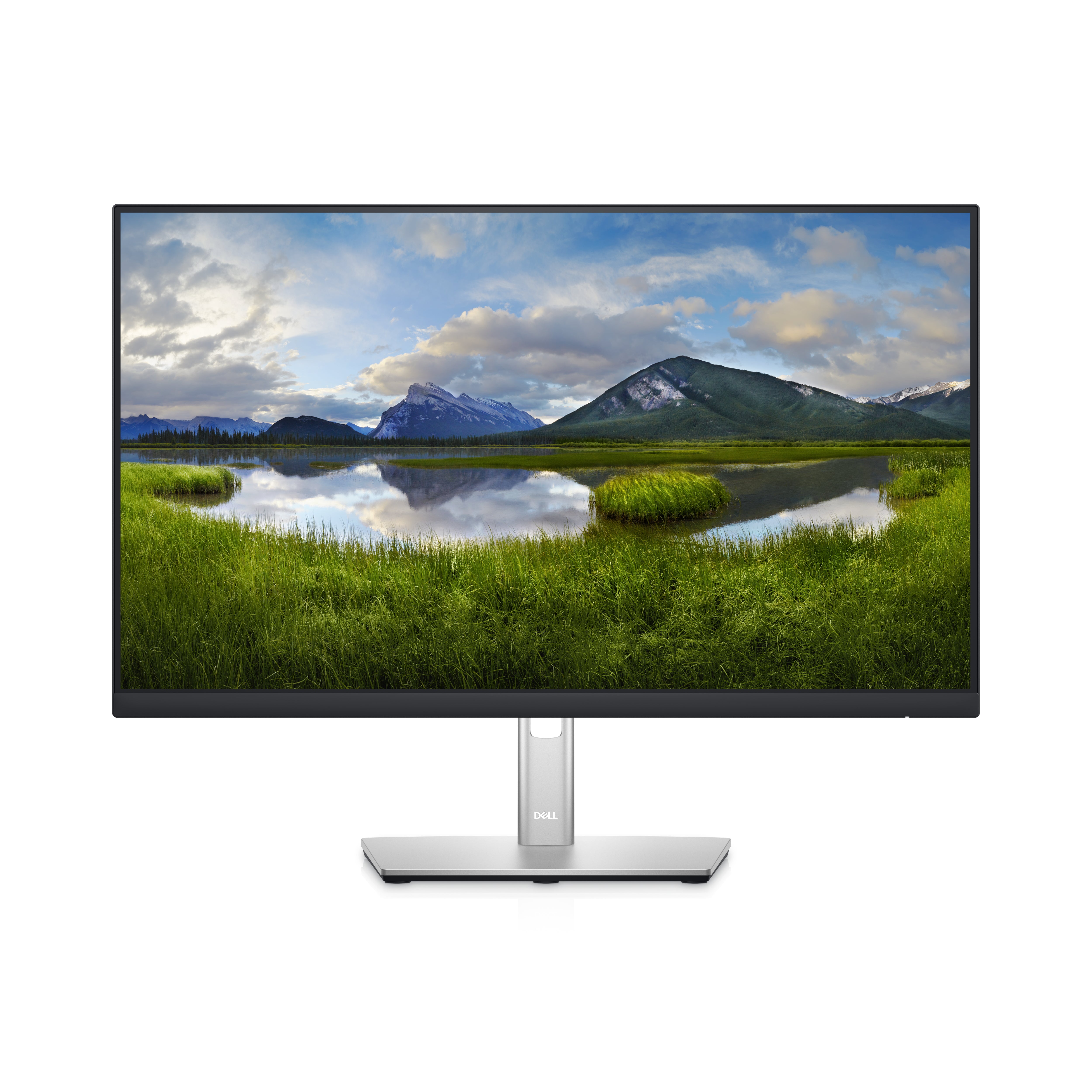Dell P2422HE 23.8in FHD Monitor