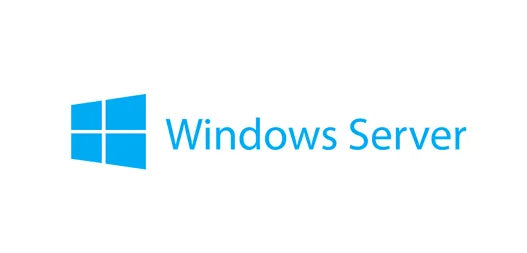 Lenovo Windows Server 2019, License, Client Access License (CAL), 5 license(s), 32 GB, 0.512 GB, 1.4 GHz