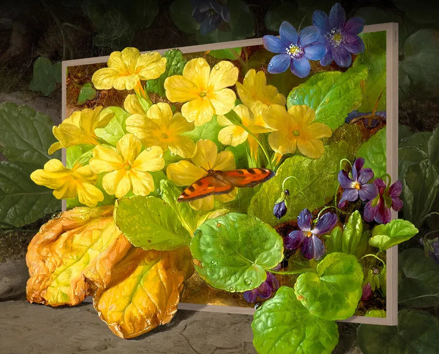 Hisense 55S7N, 139.7 cm (55"), 3840 x 2160 pixels, QLED, Smart TV, Wi-Fi, Gold