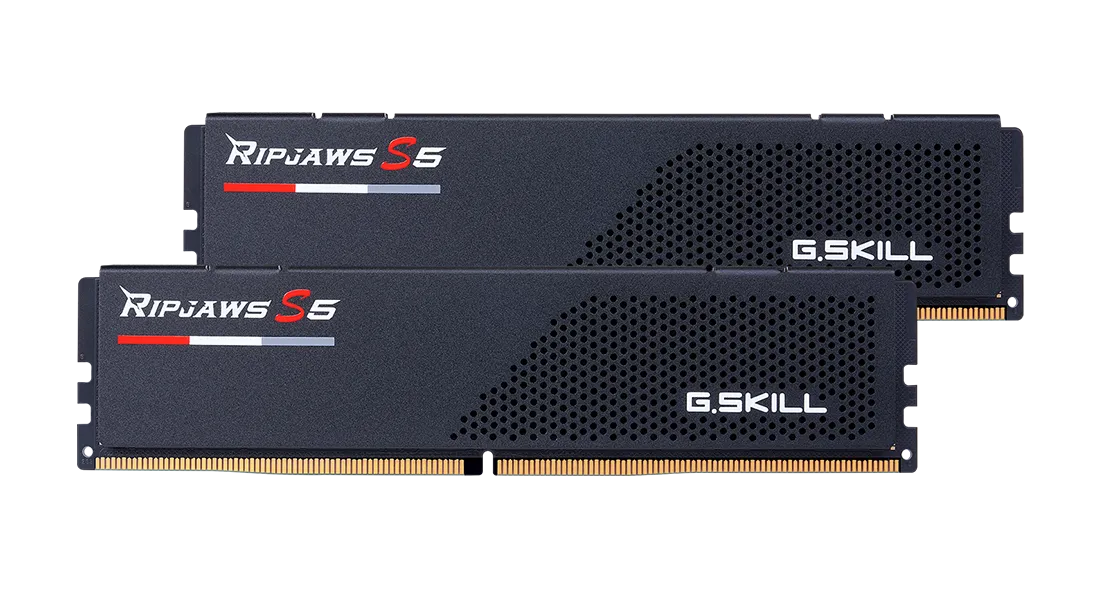 G.Skill F5-5600U3636C16GX2-RS5K, 32 GB, 2 x 16 GB, DDR5, 5600 MHz, 288-pin DIMM, Black