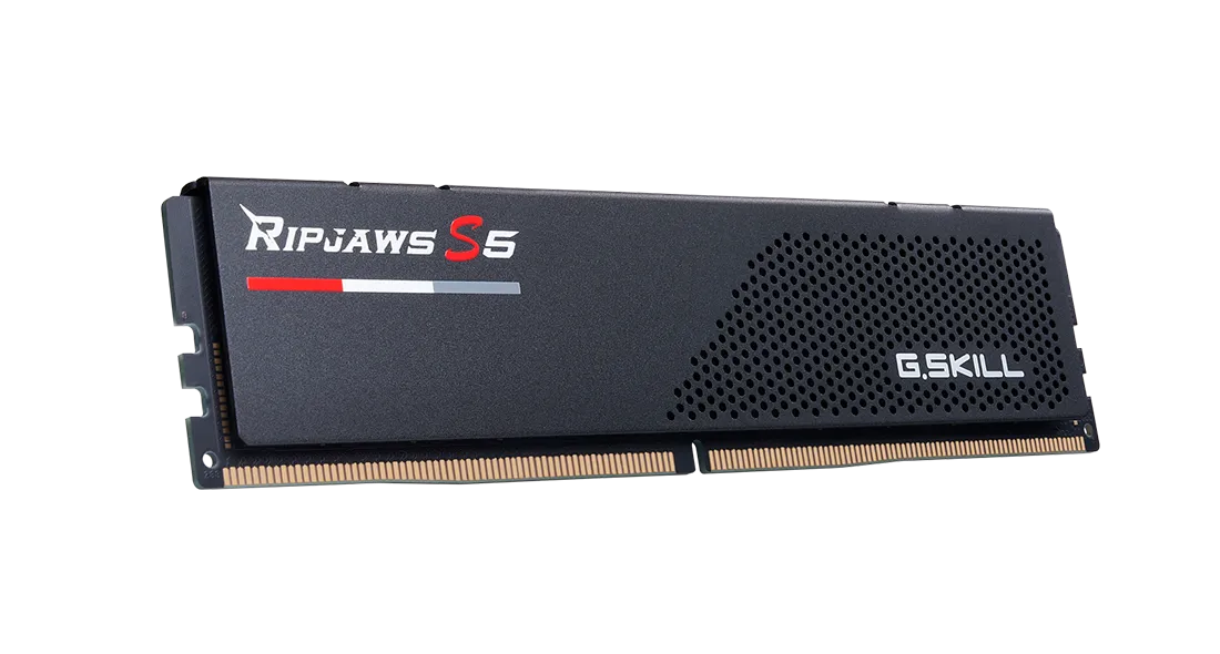 G.Skill F5-5600U3636C16GX2-RS5K, 32 GB, 2 x 16 GB, DDR5, 5600 MHz, 288-pin DIMM, Black