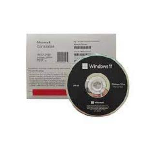 Microsoft Windows 11 Pro 64-Bit License 1 Pack OEM (DVD)