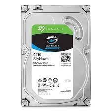 4TB Seagate SkyHawk, 3.5", SATA III (6Gbs), 256MB Cache, Internal HDD