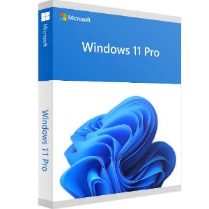 Windows 11 Pro Install Upgrade (Promotion)