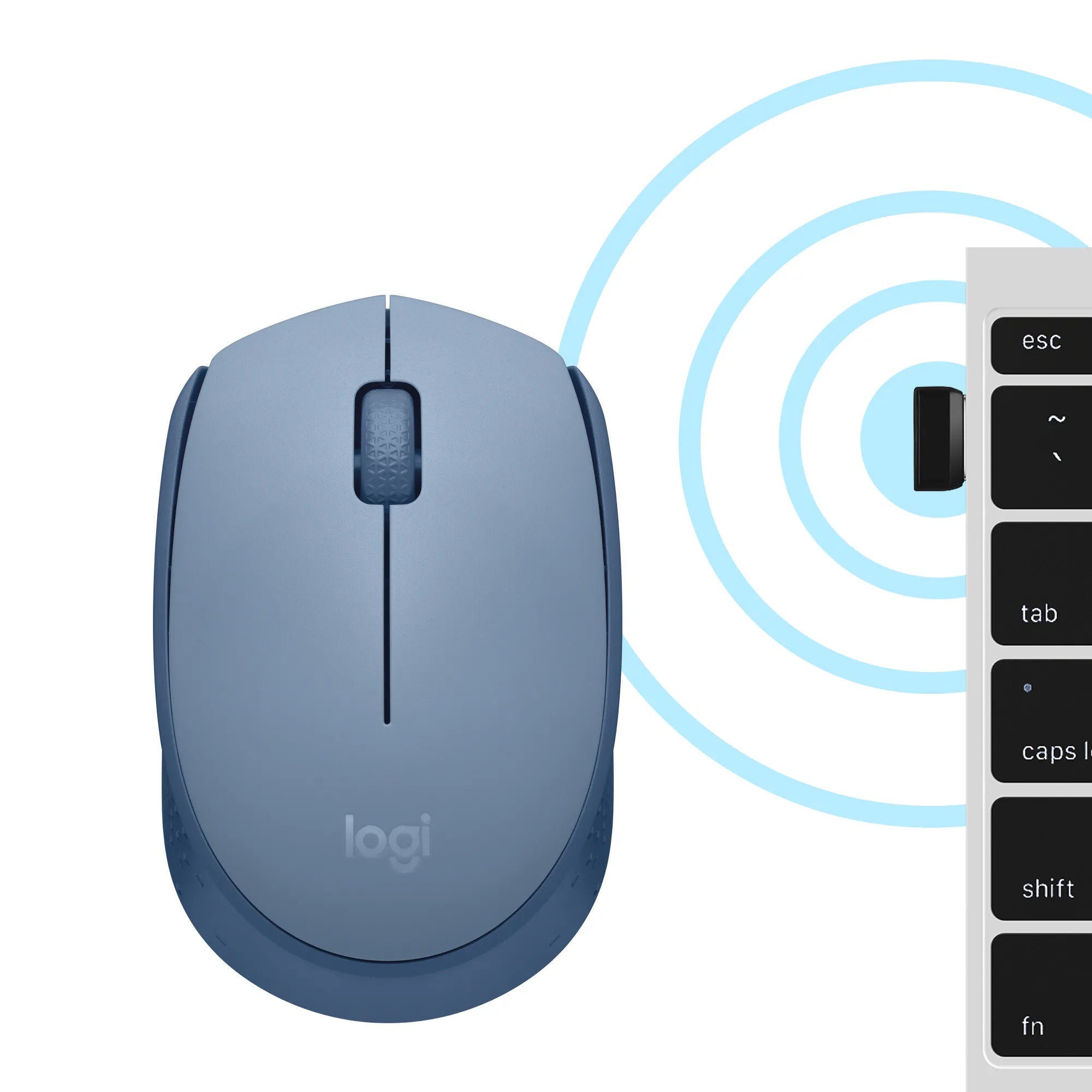 Logitech M171, Ambidextrous, Optical, RF Wireless, Blue