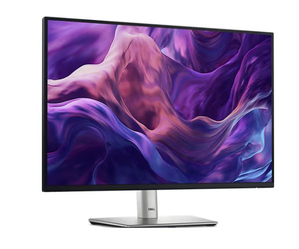 Dell 24 Monitor P2425 60.5cm (23.8)